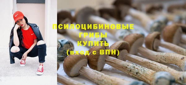 твердый Богородицк