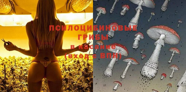 MDMA Богданович