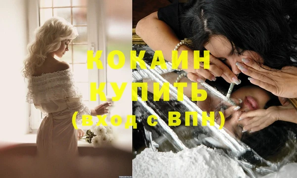 твердый Богородицк