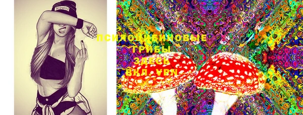 MDMA Богданович