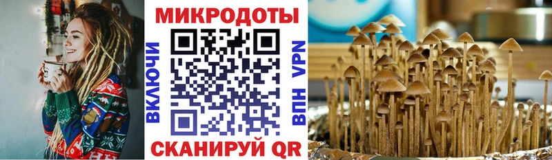 Купить где  Дедовск  Галлюциногенные грибы Cubensis 