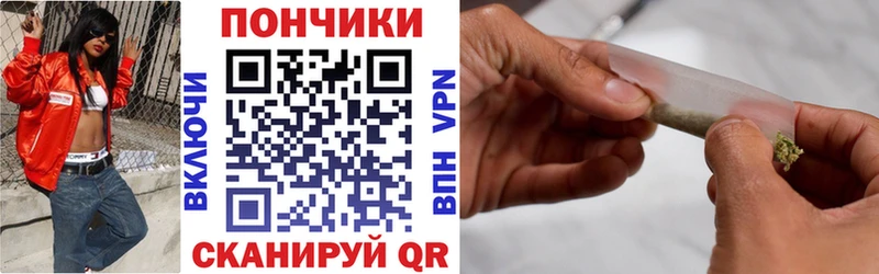 Купить закладки  Дедовск  Каннабис сатива 